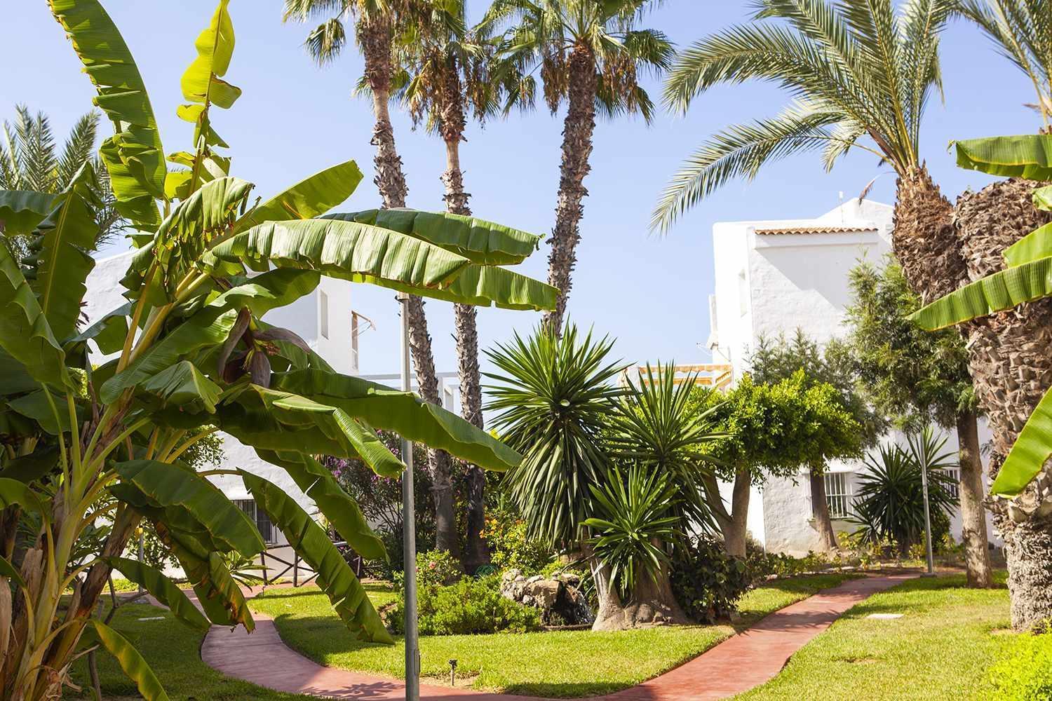 Ferienwohnung A 100M De Playa Piscina Y Todos Los Servicios Torrox Exterior foto